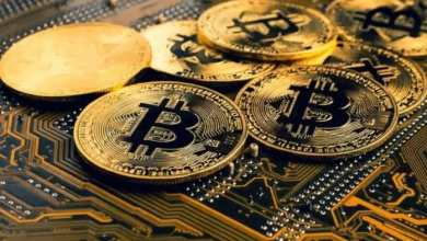 top-crypto-recovery-companies-for-hire-how-reporting-scams-to-broker-complaint-alert-(bca)-can-help-you-get-your-funds-back