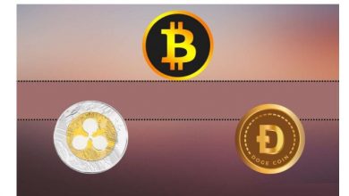 why-millionaires-avoid-salaries-&-focus-on-this-instead!attention-xrp,-bch-and-doge-enthusiasts